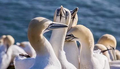 一周复盘 | 国金证券本周累计上涨0.13%，国金证券给予买入评级