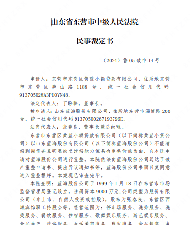山东蓝海被申请破产重整