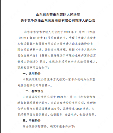 山东蓝海被申请破产重整