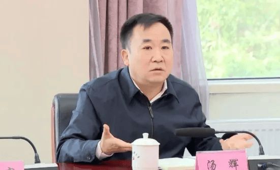 汤辉,严重违反政治纪律、组织纪律、廉洁纪律和生活纪律