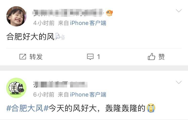 “合肥好大的风！” 安徽经历今冬罕见“冰日”