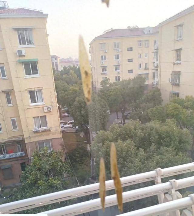 热闻|孩子从楼上抛下湿纸团,家长赔了7000元!高空抛物应承担哪些法律责任?