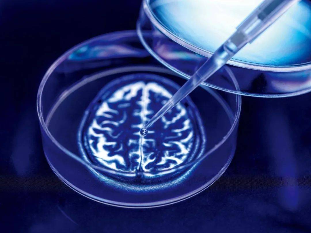 新药来了!这一无法治愈的疾病有救了?