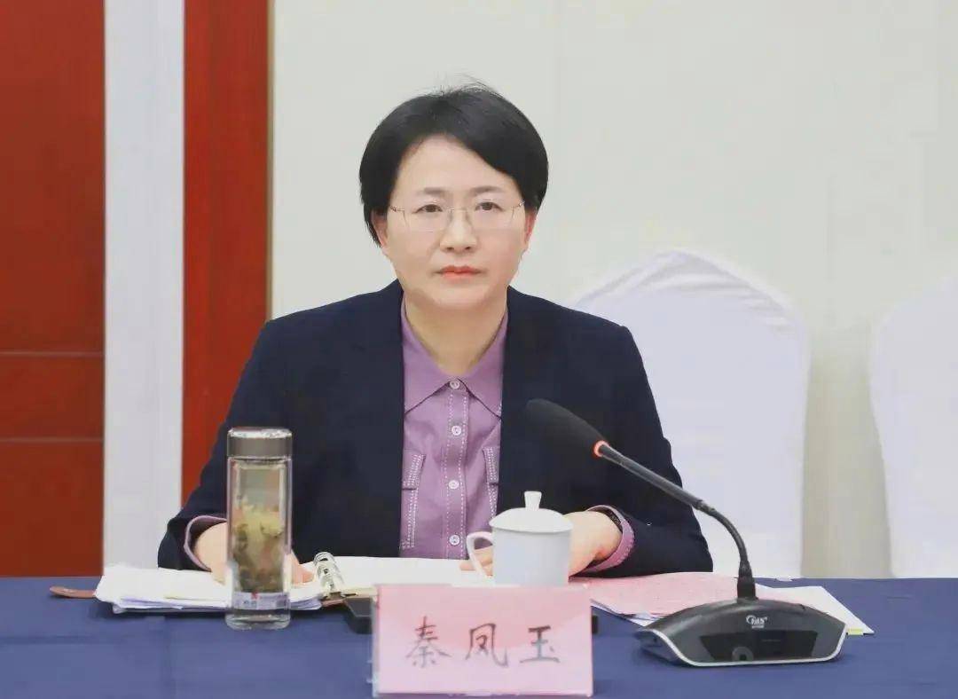 秦凤玉,拟任市委书记