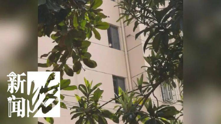 被折磨到崩溃!上海一九旬老太每天定时“输出”,邻居被迫“魔法打魔法”