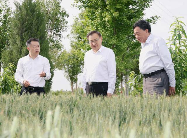 调研中，省委书记临时停车，走进农户家中