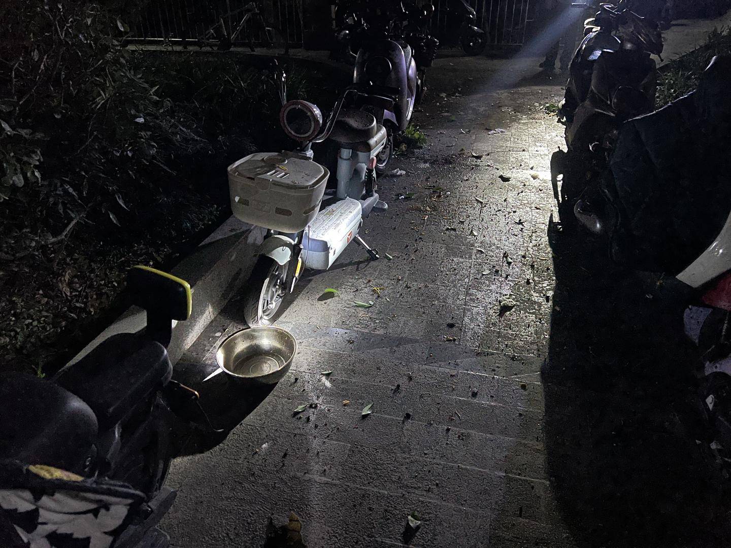 男子与朋友吃酒起争执，竟从10楼扔下绿萝、兰花和不锈钢盆，被刑拘