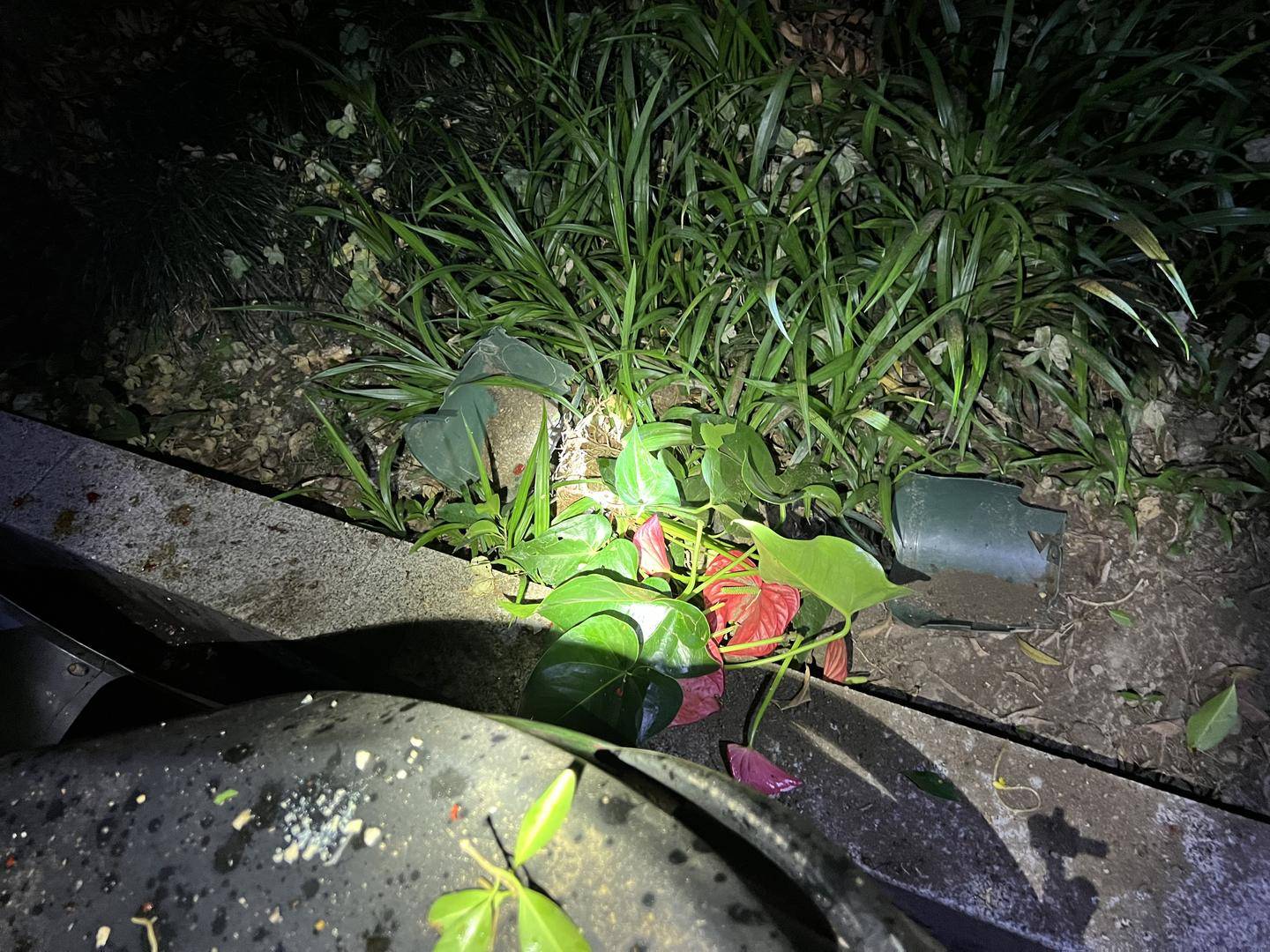 男子与朋友吃酒起争执，竟从10楼扔下绿萝、兰花和不锈钢盆，被刑拘