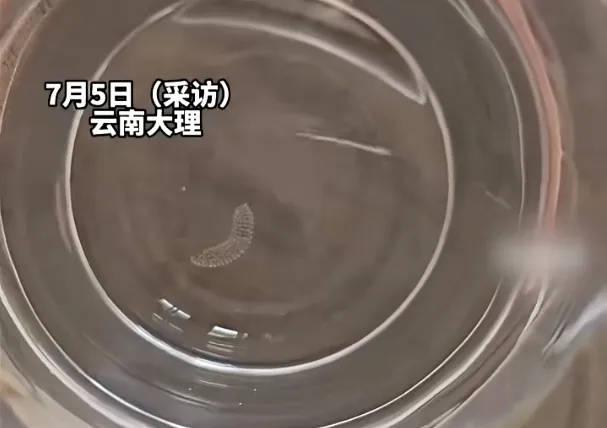 女子喝了隔夜水里的蚊子卵!专家:没事
