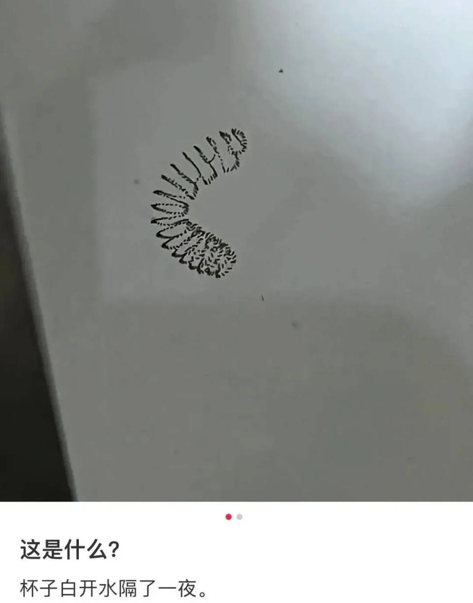 女子喝了隔夜水里的蚊子卵!专家:没事