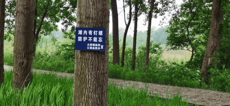 一旦接触,10秒即可感染!汛期谨防这种病→