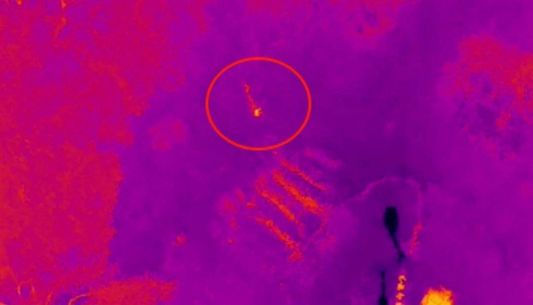 “找到了！有生命体征！”