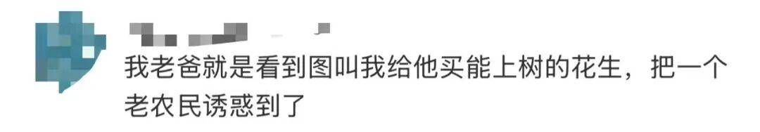 “花生上树”闹剧:AI翻车背后,我们都在弄丢常识?