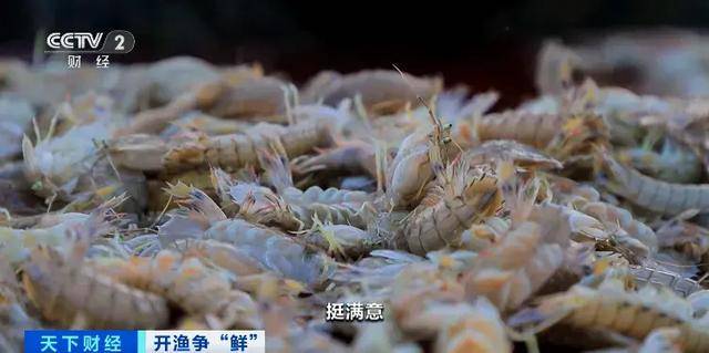 价格大降，很多人爱吃！消费者：期待已久了