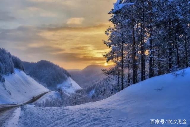 中信金通证券大阳网(中信金通证券大阳网站)